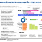 Relatório de Avaliação Docente da Graduação - FEAC - 2020.1