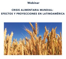 Programa Webinar - 27 de outubro