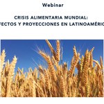 Programa Webinar - 27 de outubro